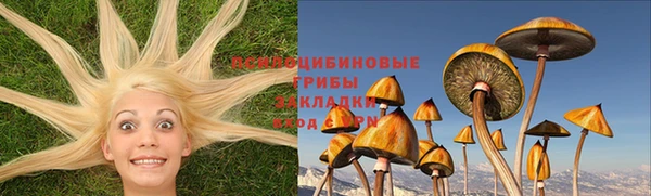 сатива Баксан