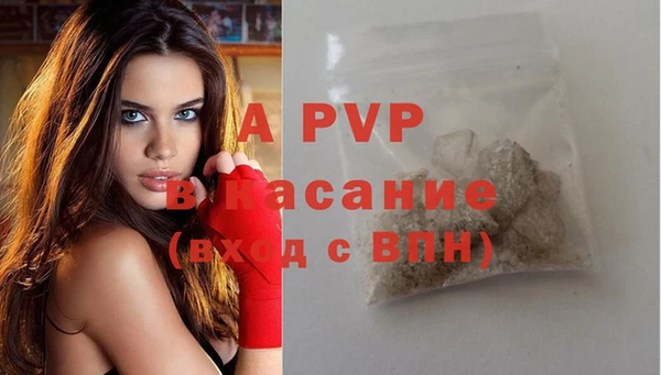 сатива Баксан