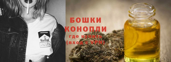 сатива Баксан