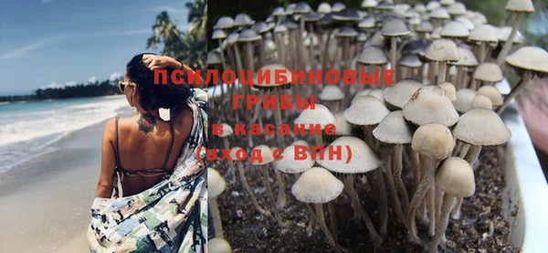 сатива Баксан