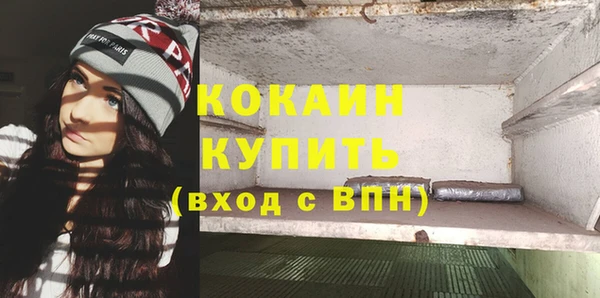 сатива Баксан