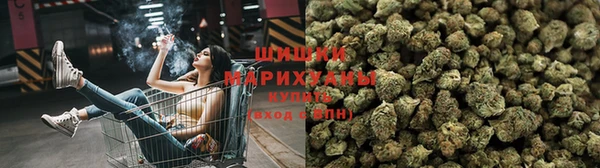 сатива Баксан