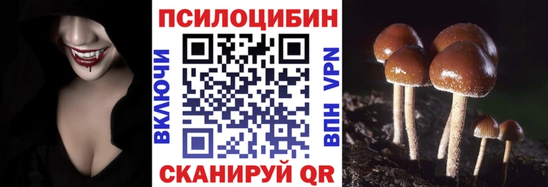 закладки Светлоград Галлюциногенные грибы MAGIC MUSHROOMS